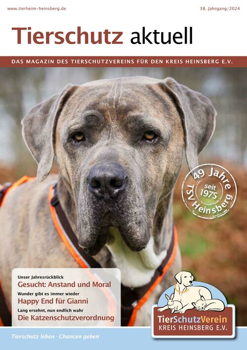 Titelbild des Magazins Tierschutz aktuell 2024 mit einem Hund, der in die Kamera schaut